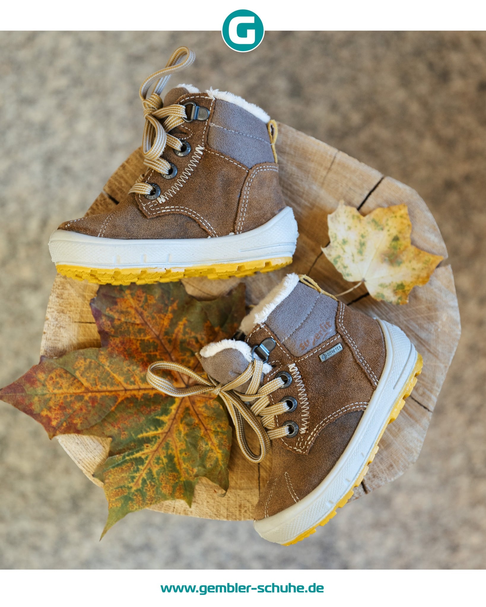 schuhhausgembler_1763734510_3770800814147427553_12113665618